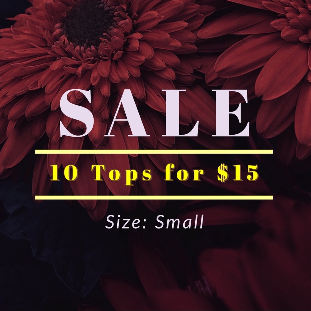 10 Tops for $15 👚 Women’s 🛍 Size: Small